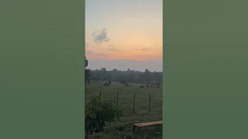 Sunset Travel 