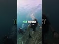 Struggling with Buoyancy? 3 Quick Tips to Improve Your Scuba Diving Skills! Dive Instructor Pro Tips