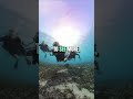 Struggling with Buoyancy? 3 Quick Tips to Improve Your Scuba Diving Skills! Dive Instructor Pro Tips
