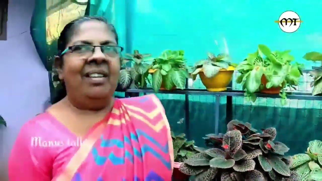 മഴകാലത്തു ഇല ചെടികൾ ആണ് കൂടുതൽ നല്ലത്.