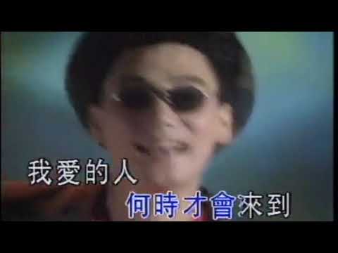 林依轮 - 爱情鸟（1994）