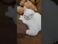 🐱А КТО БУДЕТ ЖИТЬ ЖИЗНЬ?!🐈