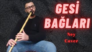 GESİ BAĞLARI - Serkan Bargun - Ney Cover Resimi