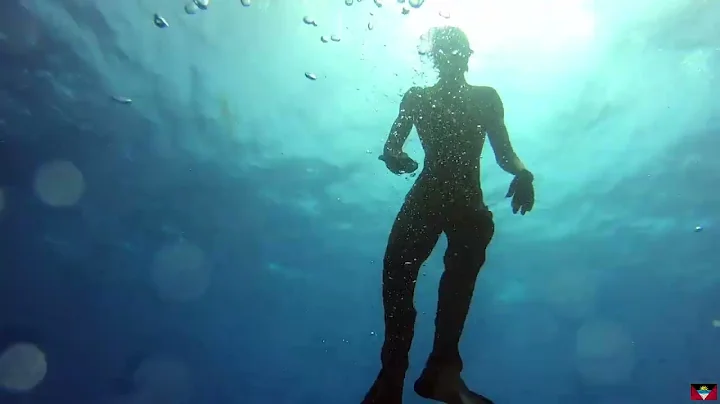 Antigua Spearfishing - A Little Of Everything