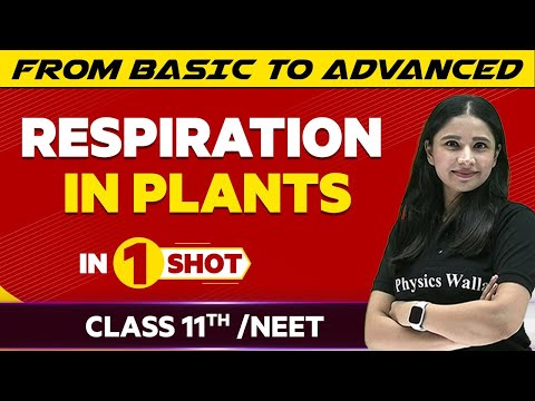 Respiration in Plants