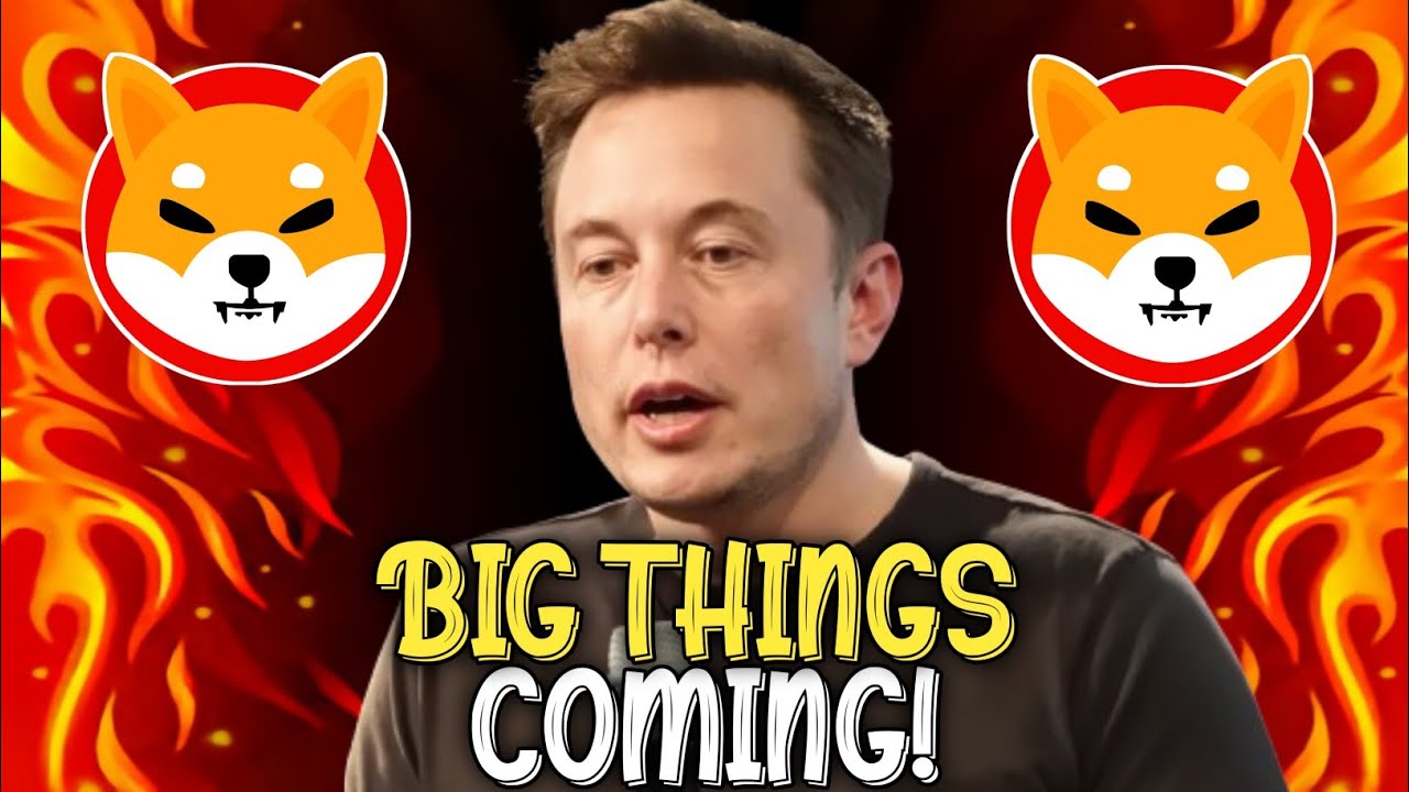 DEVELOPERS OF SHIBA INU JUST LEAKED THIS BIG SURPRISE! - SHIB KAI