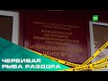 Червивая рыба раздора. Проблема с питанием в ОЦ-5 перерастает в скандал