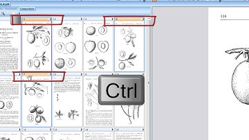 05 How to select image pages in PixEdit image editing and scanning program.