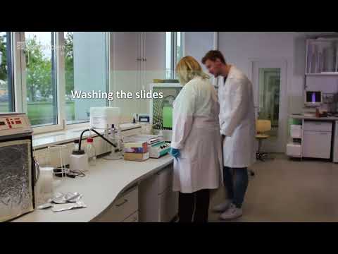 Microarray Technologies at the Fraunhofer IZI-BB
