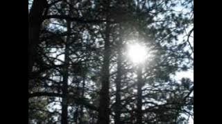 Omubezzi jjali Philly Lutaaya