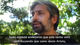 La importancia de preservar el ecosistema del río Andalién en Concepción