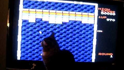 Arkanoid Cat