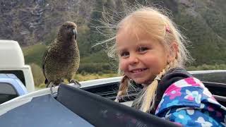 Caravan trip with 3 little kids around New Zealand's South Island  Highlights