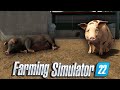 DOMUZ TİCARETİNE GİRİŞ // Farming Simulator 2022 #54