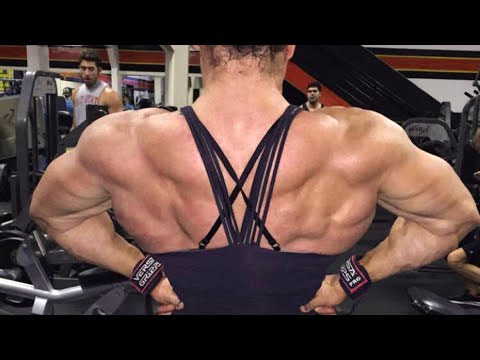 Cardio • FBB Heavy Back Workout • Female Bodybuilder Helle Trevino