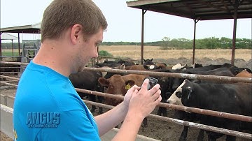 The Angus Report, Sept. 24, 2012:  Practical Applications