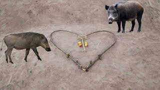 Top Trending Creative Wild Pig Trap Make From Small Woods Heart Style