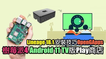 樹莓派4 Android 11 TV版Play商店OpenGApps安裝技巧 Raspberry Pi 4【中文字幕】