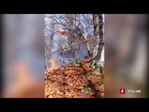 რაჭაში, სოფელ ხიდეშლებთან ხანძარია