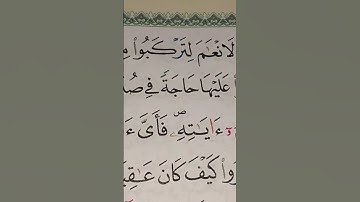تلقين آيات بينات من كتاب الله💞 من سورة  《غافر》🤲
