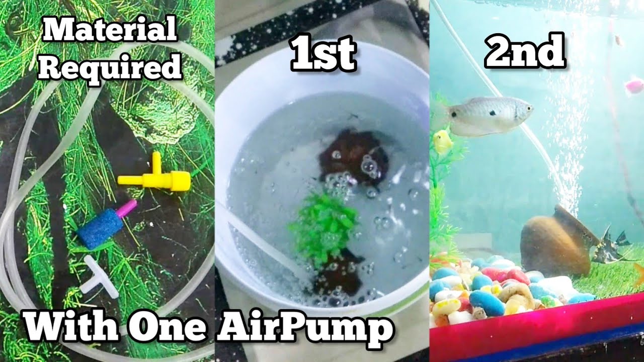 DIY How To Use One Pump For Two Tanks Multiple Air Bubble Stone With