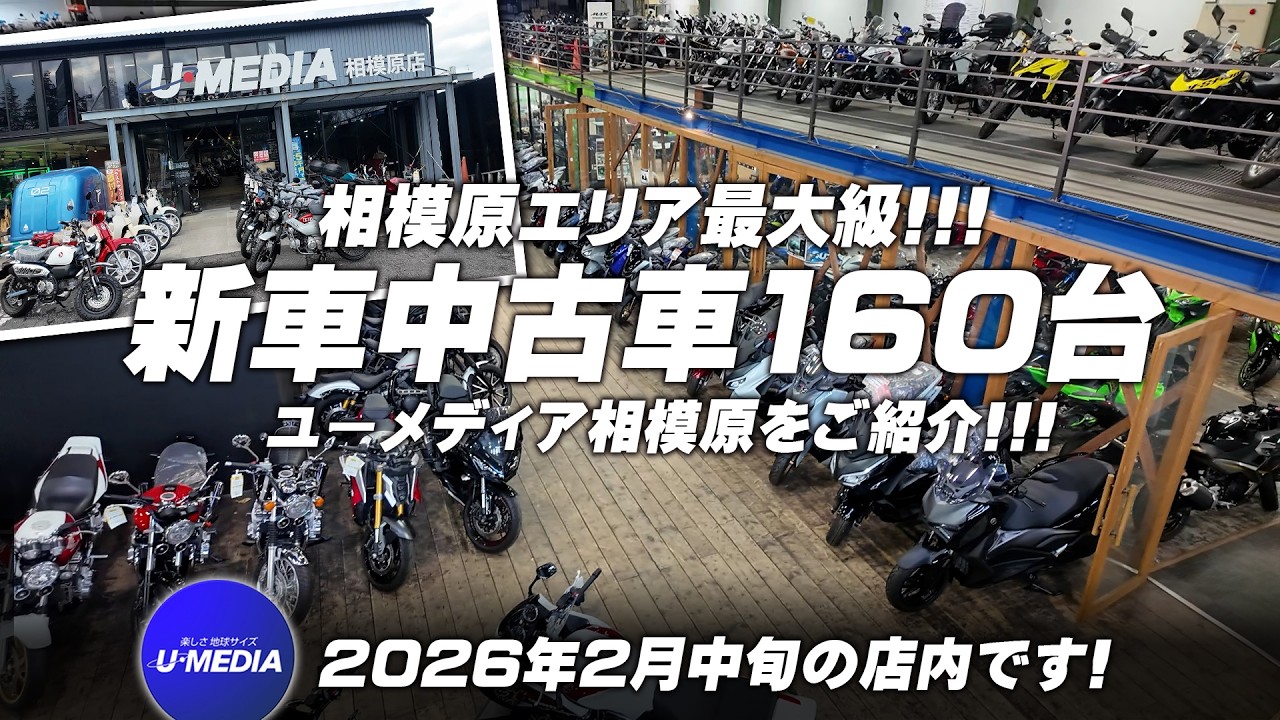新車中古車160台以上!!!「エリア最大級のユーメディア相模原」2026年2月中旬の店内状況をご紹介します！【今月のオススメ1台も】