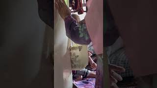 IMG 8569