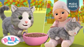 New Song I Have A Kitty Cat Baby Born Music