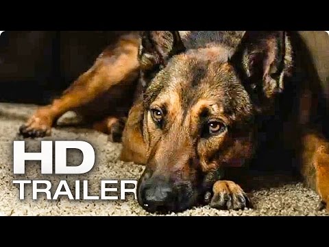 MAX Official Trailer (2015)