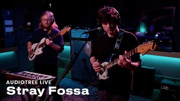Stray Fossa - Transpiring | Audiotree Live