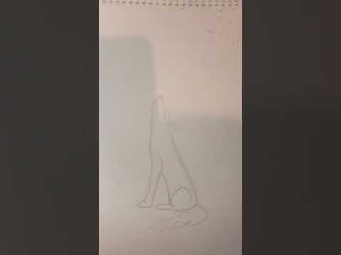 Видео: Как да нарисувате вълк на етапи