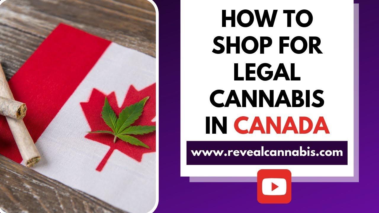 How To Buy Legal Cannabis in Canada
