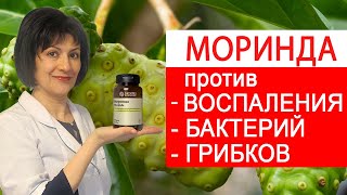 Индийская шелковица / Моринда NSP. Доказательная медицина, врачебный опыт применения