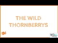 The Wild Thornberrys (Theme Song)