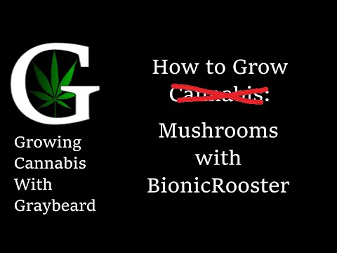 How to Grow Mushrooms with BionicRooster!