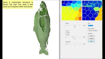 GPU Accelerated Transfer Function Generation for Importance-Driven Volume Visualization