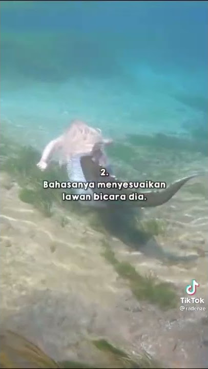 fakta mermaid ALAÏA