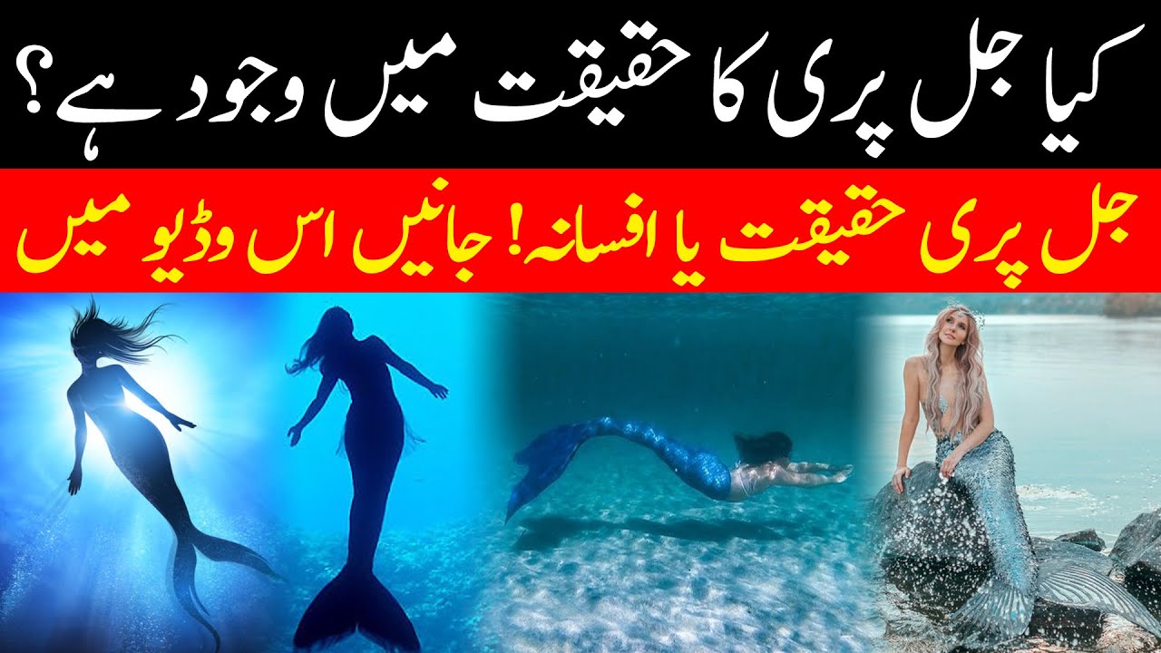 Jalpari ki haqeeqat kya hai? | Reality of mermaids in Urdu |Mermaids in real life| Urdu-Hindi