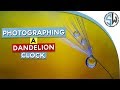 Photographing a dandelion clock