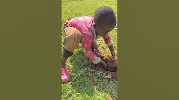 Tree Planting Day 2025 At Buhubalo Children Foundation Uganda 