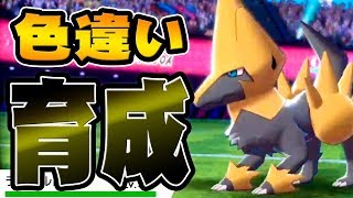 最強の色違いライボルトを育てようぜ ポケットモンスター ソード シールド を実況プレイ ポケモン剣盾 Youtube 最強の色違いライボルトを育てようぜ ポケットモンスター ソード シールド を実況プレイ ポケモン剣盾 Youtube