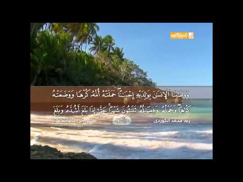 رعد محمد الكوردی سورة الاحقاف