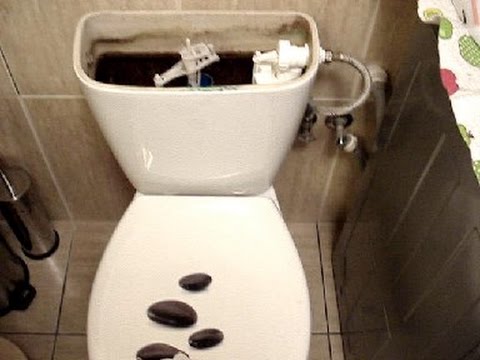 Wideo: Co się stanie, jeśli naciśniesz oba przyciski w toalecie z podwójną spłuczką?