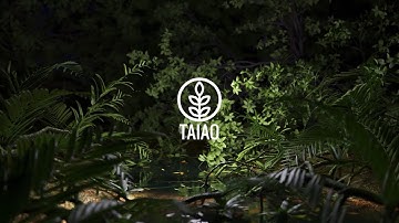 Taiao Sneak Peek – Coming Soon to INSYDIUM Fused