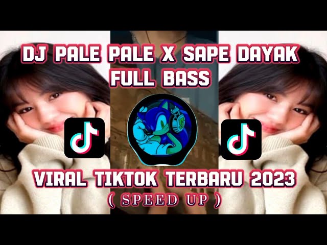 DJ PALE PALE X SAPE DAYAK KANE FULL BASS | DJ VIRAL TIKTOK TERBARU 2023. class=