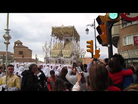 Real, Ilustre y Venerable Hermandad Sacramental de Nuestro Padre Jesús Nazareno de los Pasos en el Monte Calvario y María Santísima del Rocío Coronada