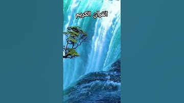 القرآن الكريم ❤️  سورة المائدة