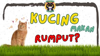 Kenapa kucing makan rumput ? by Oco Nugroho 187 views 2 months ago 1 minute, 28 seconds