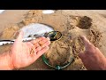 Hundreds OLD Coins &amp; Jewelry Found in Huge HOLE Metal Detecting