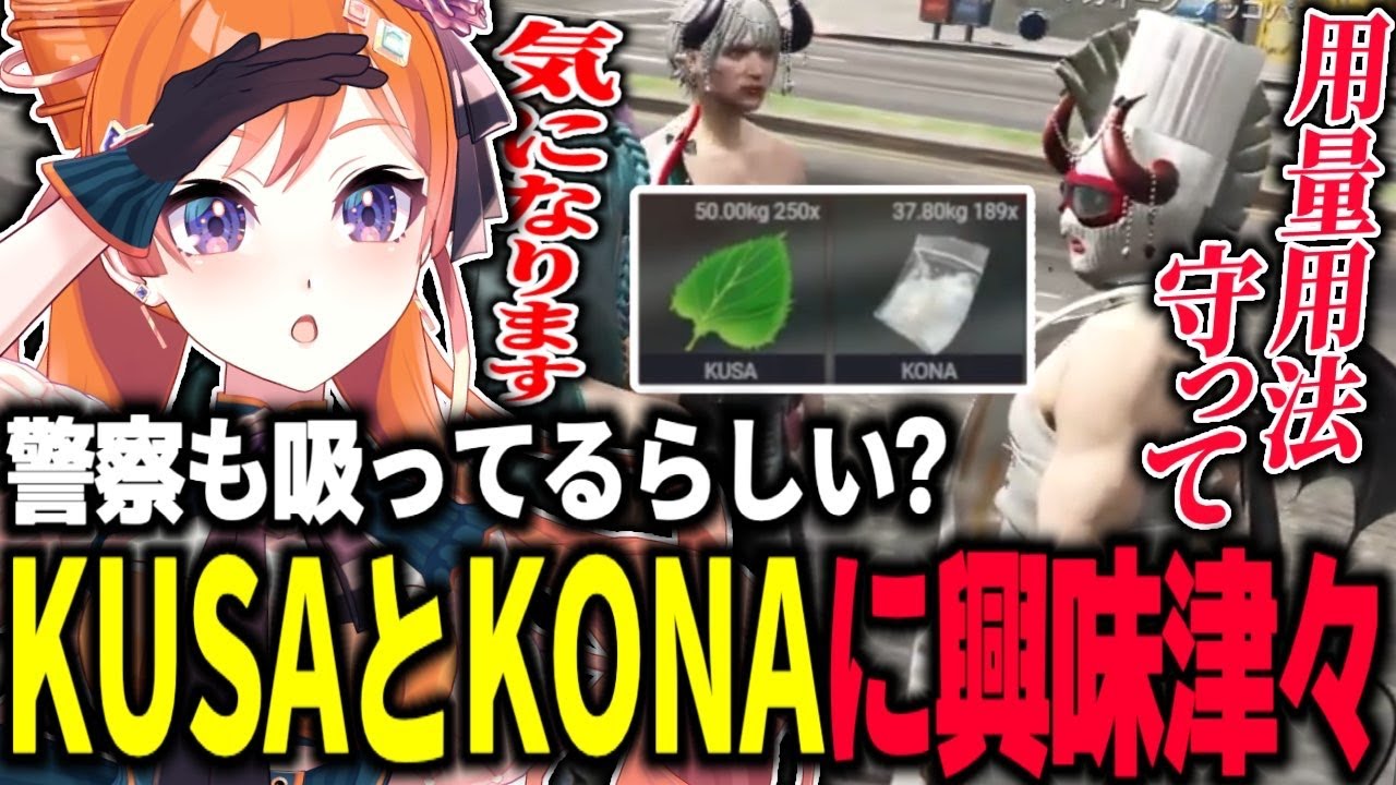 KUSAとKONAに興味津々のうさぎさん！【